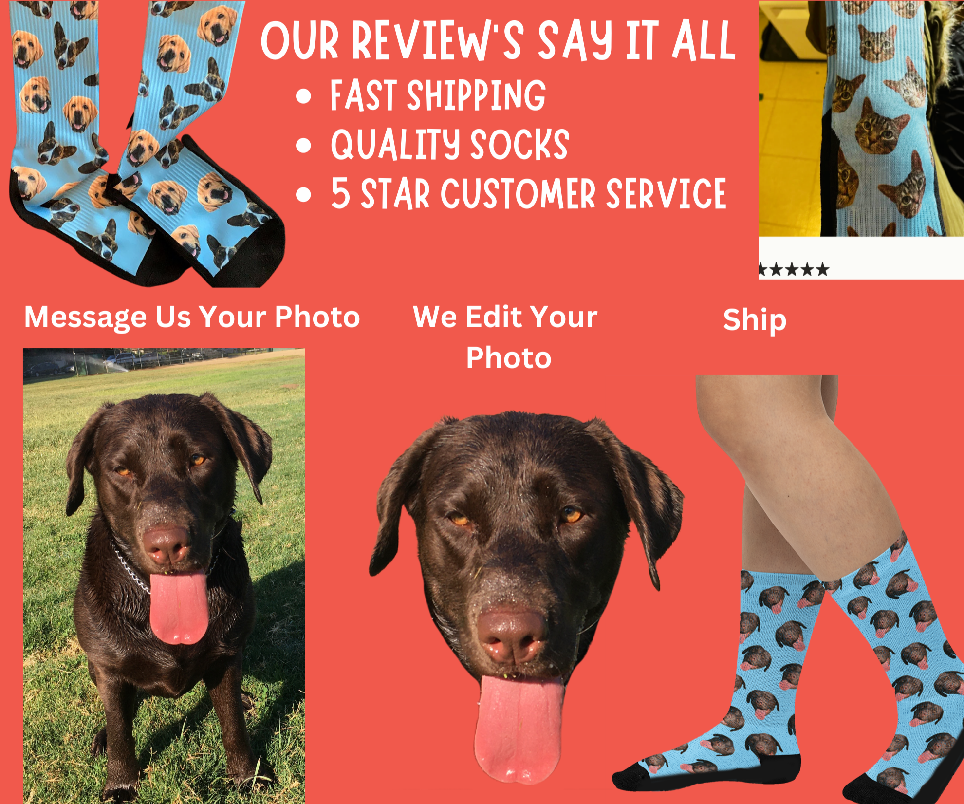 Custom socks sales with pet face